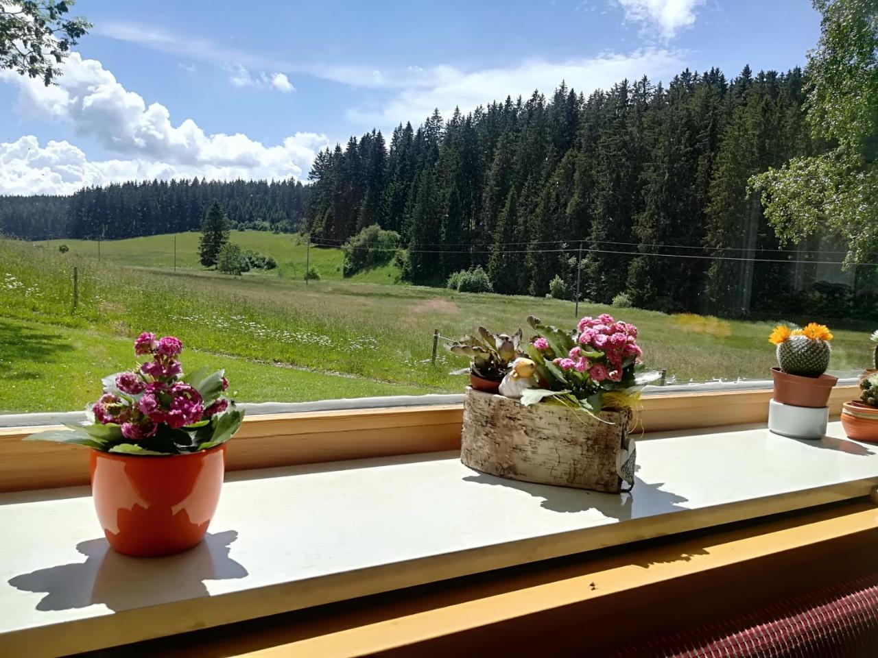 Hotel Kaltenbach Schönwalde Exteriör bild
